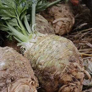 Organic celery root-céleri rave_similar product