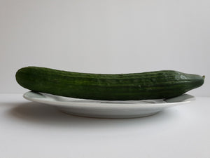 Organic cucumber-1