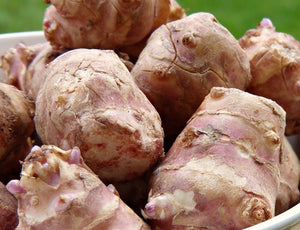 Organic Jerusalem artichoke-topinambour_similar product