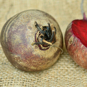 Organic red beets-bettrave rouges_similar product