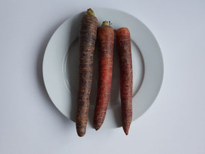 Organic violet carrots-carottes violettes-1